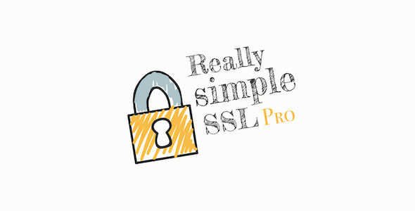 Really Simple SSL Pro Plugin 1 Really Simple SSL Pro Plugin